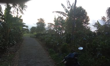 Dijual lahan seluas 20 are di kawasan Munduk