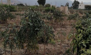 VENTA OCASIÓN TERRENO - AZPITIA