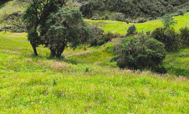 En Venta 7 Hectáreas de Terreno en Cumbe