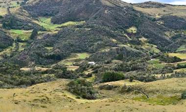 En Venta 7 Hectáreas de Terreno en Cumbe