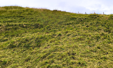 En Venta 7 Hectáreas de Terreno en Cumbe