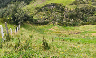 En Venta 7 Hectáreas de Terreno en Cumbe