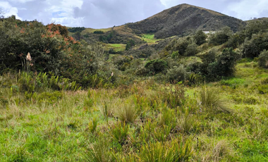 En Venta 7 Hectáreas de Terreno en Cumbe