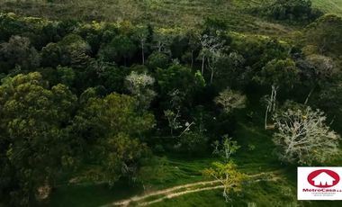 VENTA LOTE MESA DE LOS SANTOS