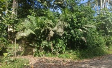 Venta de terreno, cantón Francisco de Orellana, Orellana