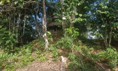 Venta de terreno, cantón Francisco de Orellana, Orellana