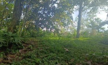 Venta de terreno, cantón Francisco de Orellana, Orellana