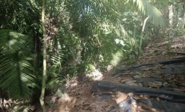 Venta de terreno, cantón Francisco de Orellana, Orellana