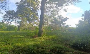 Venta de terreno, cantón Francisco de Orellana, Orellana