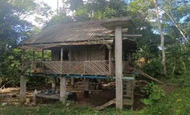 Venta de terreno, cantón Francisco de Orellana, Orellana