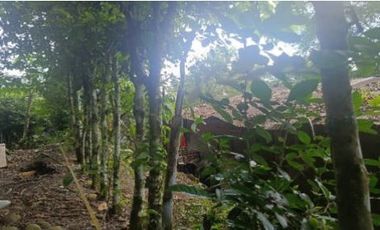 Venta de terreno, cantón Francisco de Orellana, Orellana