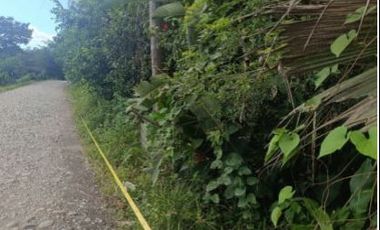 Venta de terreno, cantón Francisco de Orellana, Orellana