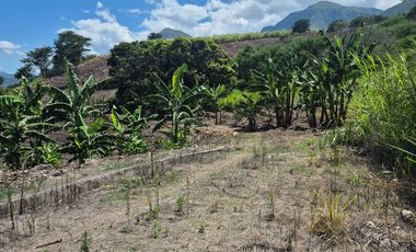 Terreno grande en venta en Sulupali grande