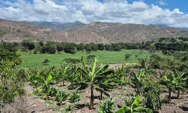 Terreno grande en venta en Sulupali grande