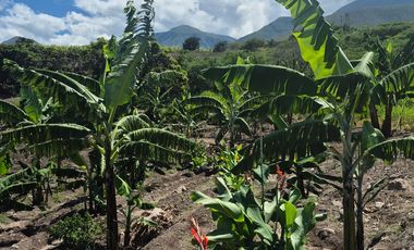 Terreno grande en venta en Sulupali grande