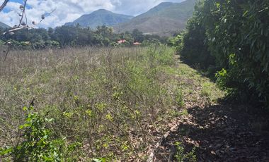 Terreno grande en venta en Sulupali grande