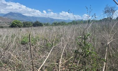 Terreno grande en venta en Sulupali grande