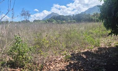 Terreno grande en venta en Sulupali grande