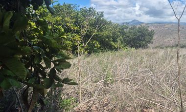 Terreno grande en venta en Sulupali grande