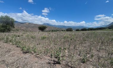 Terreno grande en venta en Sulupali grande