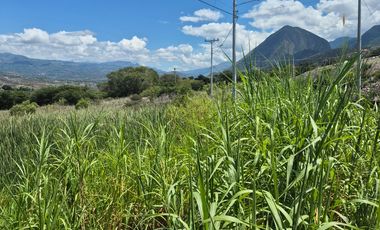 Terreno grande en venta en Sulupali grande