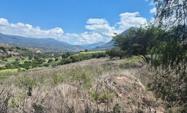 Terreno grande en venta en Sulupali grande