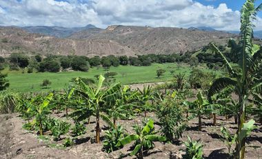 Terreno grande en venta en Sulupali grande