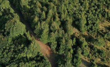 Hermosa parcela en venta, atención inversionistas