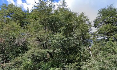 Hermosa parcela en venta, atención inversionistas