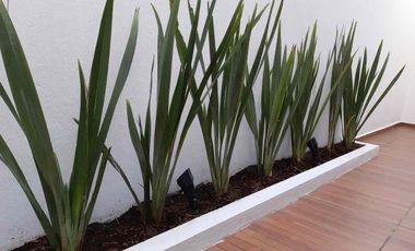 Casa en Renta en Fraccionamiento Antigua Cementera