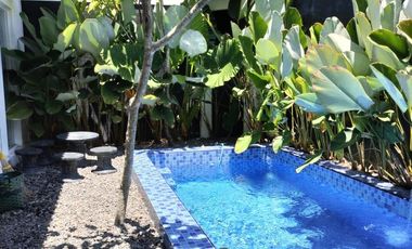 Privat Pool, Potensi Sewa 10-15Jt: Rumah Vila Murah Jogja