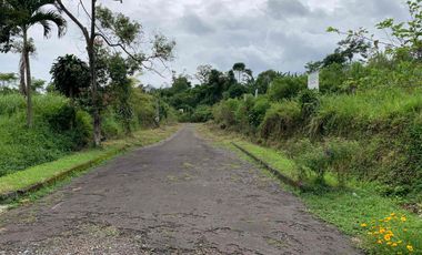 DIJUAL VILLA MINIMALIS SUBANG CIATER