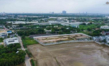 THE GOLDEN LAND | Year-End 2025  Prime Land on “Chaiyaphruek–Khlong Phra Udom Road, Pak Kret”