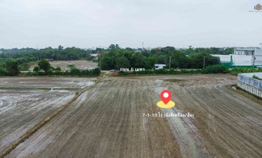 THE GOLDEN LAND | Year-End 2025  Prime Land on “Chaiyaphruek–Khlong Phra Udom Road, Pak Kret”