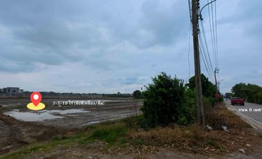 THE GOLDEN LAND | Year-End 2025  Prime Land on “Chaiyaphruek–Khlong Phra Udom Road, Pak Kret”