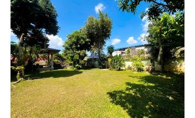 Luxurious Single House, shady Garden In the middle of NST