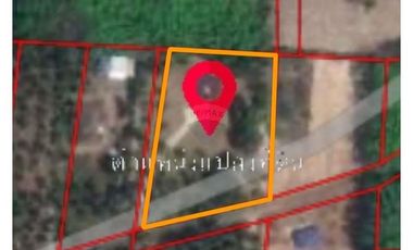 Big beautiful single House in large piece of Land 2-3-10 Rai in Khanom