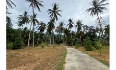 Big beautiful single House in large piece of Land 2-3-10 Rai in Khanom