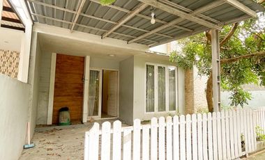 House in the Royal complex near Sunsetland