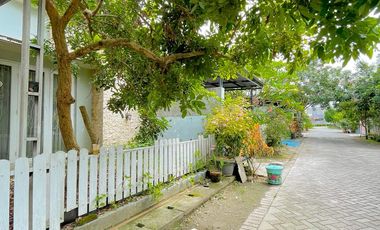 House in the Royal complex near Sunsetland