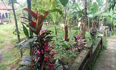 Rumah Panggung 250 m, Dekat Sekolah SMPN, Bojong, Purwakarta.