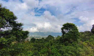 🏠VENTA DE LOTE CAMPESTRE DOSQUEBRADAS