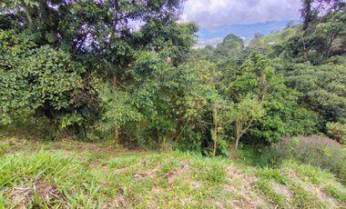 🏠VENTA DE LOTE CAMPESTRE DOSQUEBRADAS