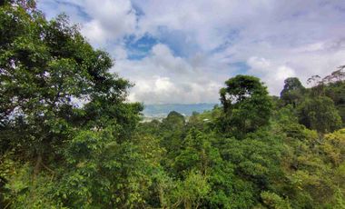 🏠VENTA DE LOTE CAMPESTRE DOSQUEBRADAS