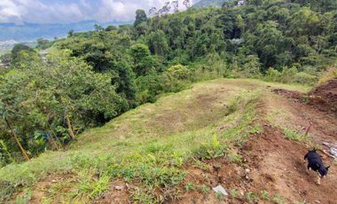 🏠VENTA DE LOTE CAMPESTRE DOSQUEBRADAS