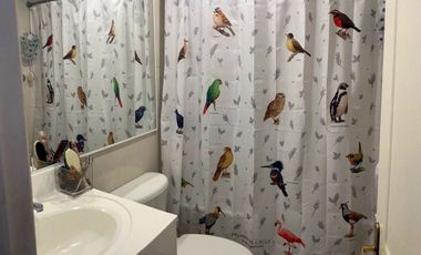 Arriendo de verano  Departamento en La Puntilla de Villarrrica,para 6 personas con acceso a playa