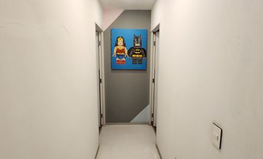 Casa con Uso de suelo en RENTA, Col. Cuauhtemoc, Rio Panuco 97