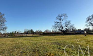 HERMOSA CASA en parcela DE 8.000 M2 y acceso al rio en sector Trafun A 20 MIN DE RIO BUENO