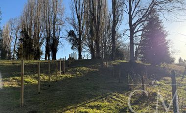 HERMOSA CASA en parcela DE 8.000 M2 y acceso al rio en sector Trafun A 20 MIN DE RIO BUENO