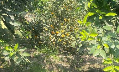 VENTA DE TERRENO DENTRO DE CONDOMINIO PRIVADO